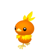 6IV Torchic Indigo Disk Pokemon Scarlet and Violet